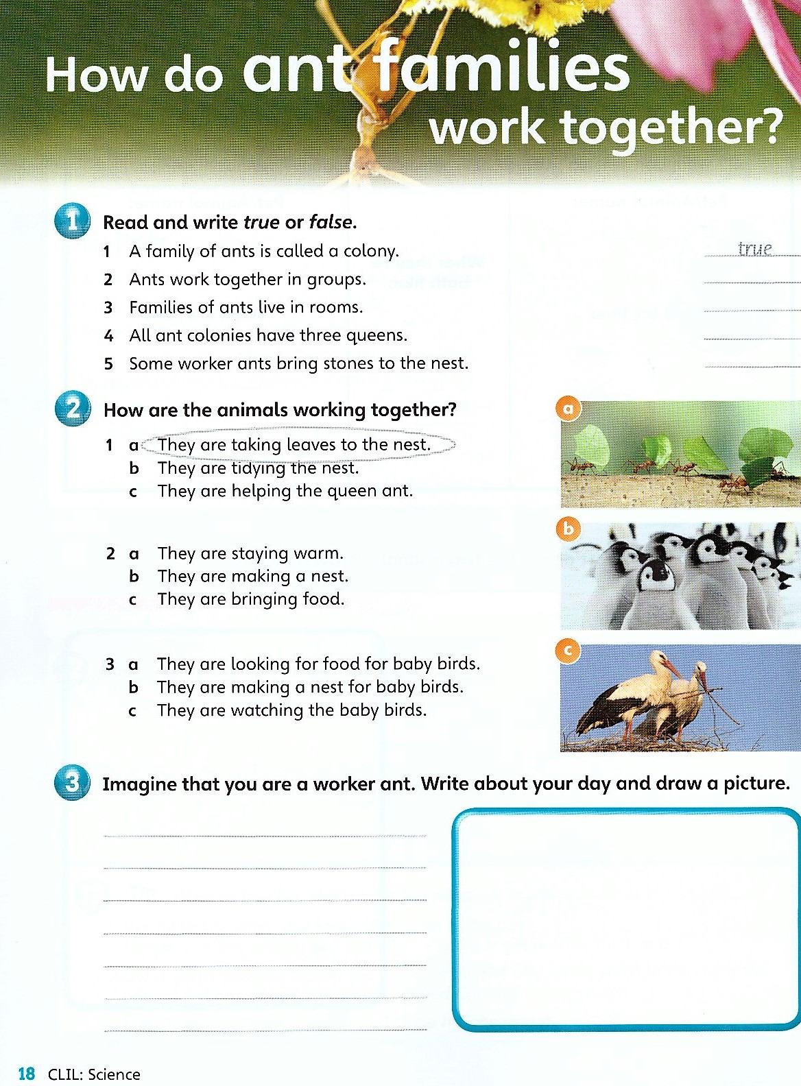 Guess What! Level 5 Activity Book with Online Resources British English