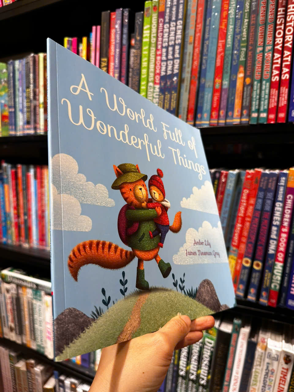 Sách - A World Full of Wonderful Things by Amber Lily - Sách ngoại văn, sách thiếu nhi tiếng Anh, bìa mềm, nhập khẩu UK