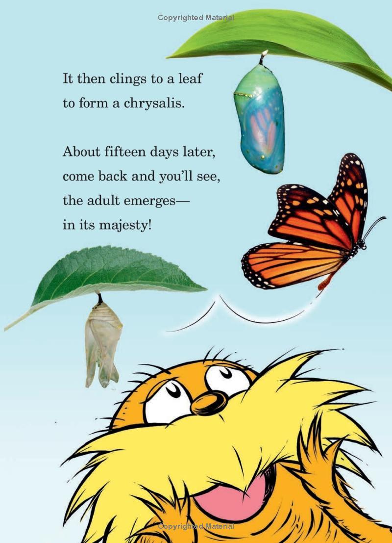 Hug A Bug: How YOU Can Help Protect Insects (Dr. Seuss