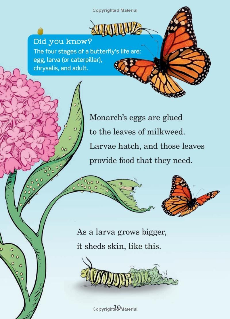 Hug A Bug: How YOU Can Help Protect Insects (Dr. Seuss