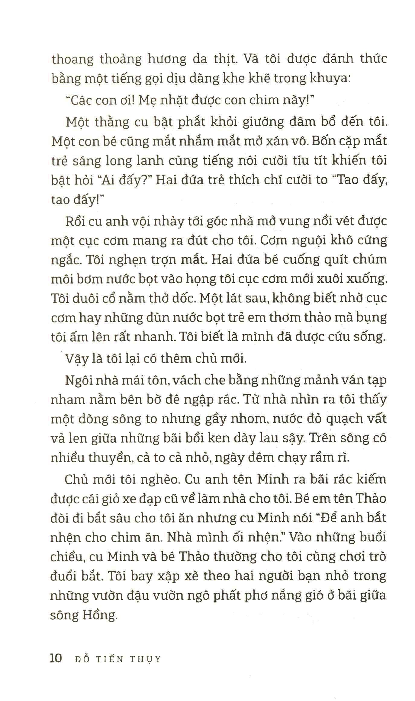 Con Chim Joong Bay Từ A Đến Z