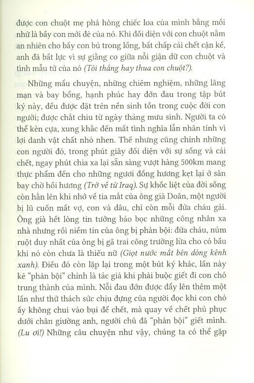 Trở Về Từ Iraq - Bút Ký
