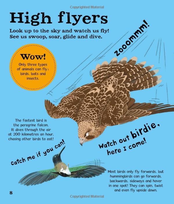 Wow! Look What Birds Can Do!