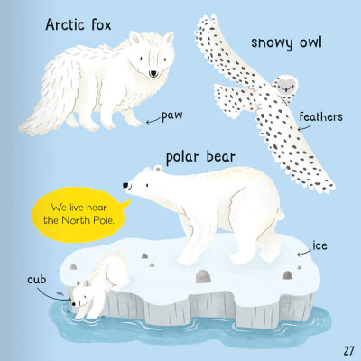 Wonderful Words: Animals!