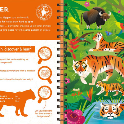 Animals (Scratch Discover & Learn)