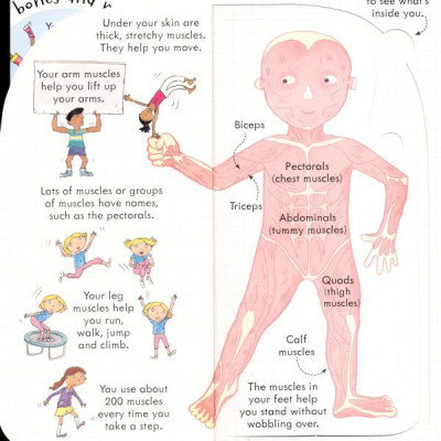 Usborne Look inside Your Body