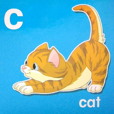 My Brainy Block Books: Baby