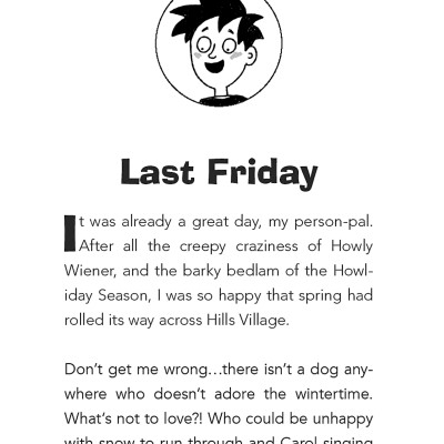 Dog Diaries 5: Ruffing It: A Middle School Story