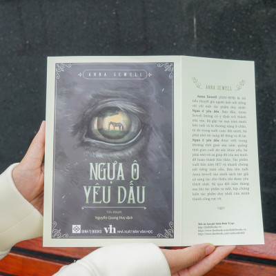 Sách - Ngựa ô yêu dấu Anna Sewell - Đinh Tị Books