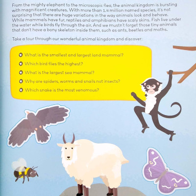 Know And Glow: Animals Sticker Activities