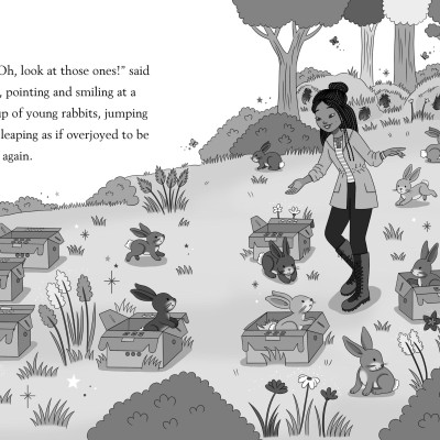 Lucky Bunnies : An Animal Rescue Dolls Story