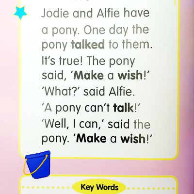 I Can Read - Large Print Reading Scheme (Pink Cover)