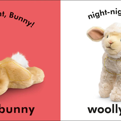 Baby Touch And Feel Bedtime