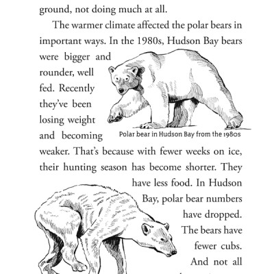 What Is Climate Change?