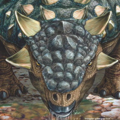 1,000 Facts About Dinosaurs, Fossils, And Prehistoric Life