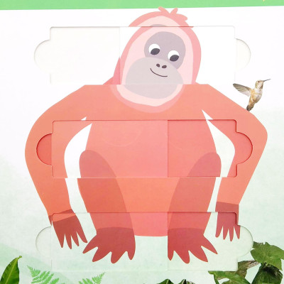 Little Wonders: Jungle Animals - 5 Puzzles