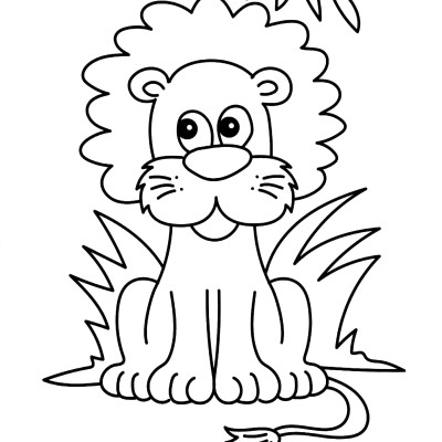Bumper Jungle Colouring