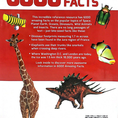 B384 6000 AMAZING FACTS