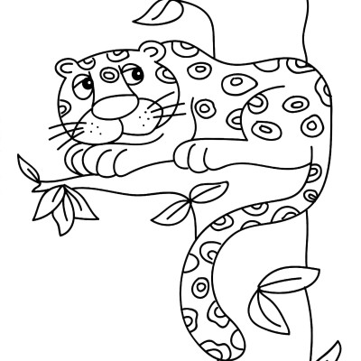 Bumper Jungle Colouring
