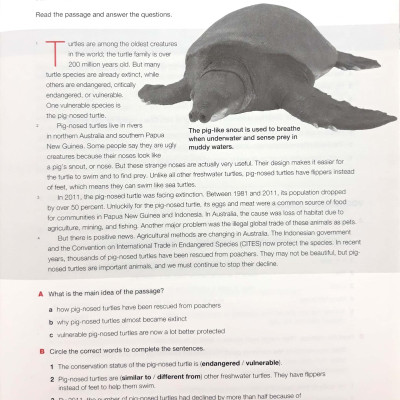 KEYNOTE AME 2 WORKBOOK