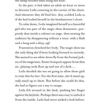 The Magic Misfits Series #2: The Second Story