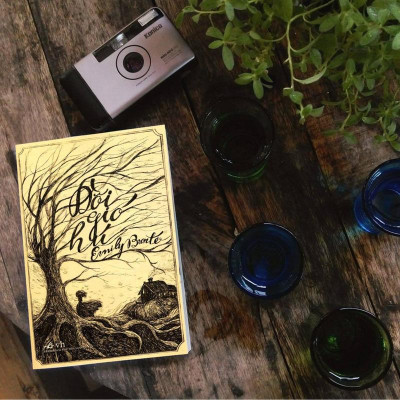 Sách - Đồi Gió Hú (Tái Bản) (Nhã Nam HCM)