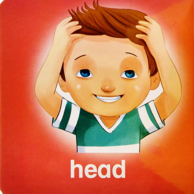 My Brainy Block Books: My Body