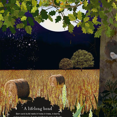 Through The Night Sky: A Collection Of Amazing Adventures Under The Stars