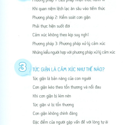 BÍ QUYẾT KIỂM SOÁT CƠN GIẬN - Giải Tỏa Tận Gốc Những Cảm Xúc Tiêu Cực Và Sống Vui Vẻ Hơn
