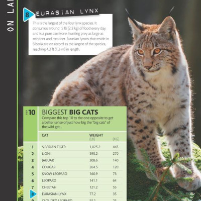 Top 10 of Everything 2018