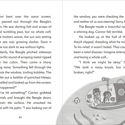 The Secret Explorers And The Lost Whales