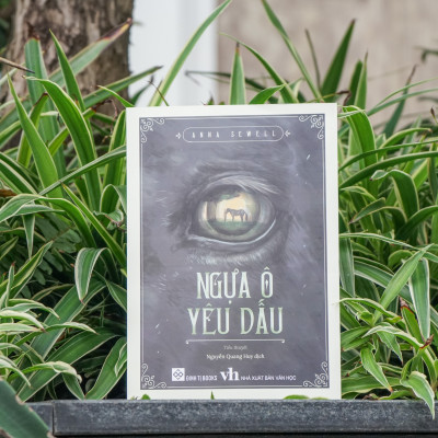 Sách - Ngựa ô yêu dấu Anna Sewell - Đinh Tị Books