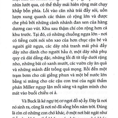 Tiếng Gọi Của Hoang Dã - Bìa Cứng