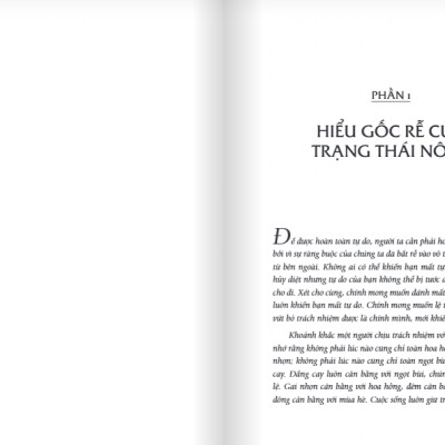 Tự Do - Như Chim Tung Cánh (Osho)