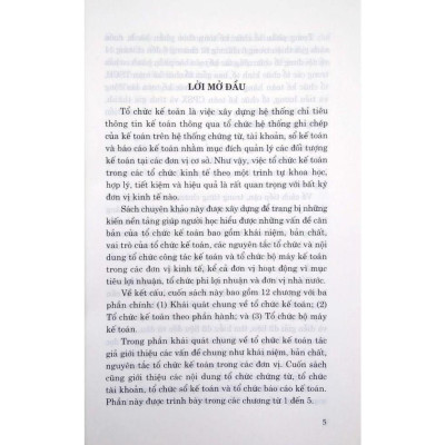 Tổ Chức Kế Toán Trong Các Đơn Vị Kinh Tế(14)