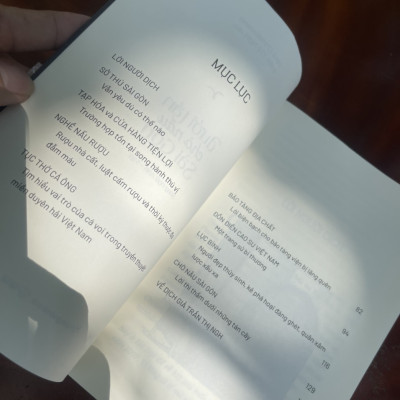 DƯỚI TÁN CHÒ NÂU SÀI GÒN – song ngữ Việt – Anh – Trần Thị NgH – Paul Christiansen