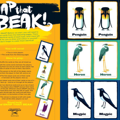 Draw With Rob: Amazing Animals