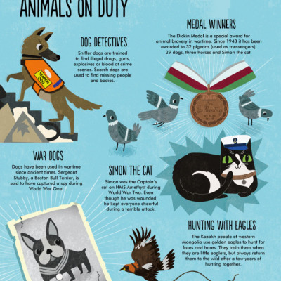 Facts: Essential Knowledge For Curious Kids