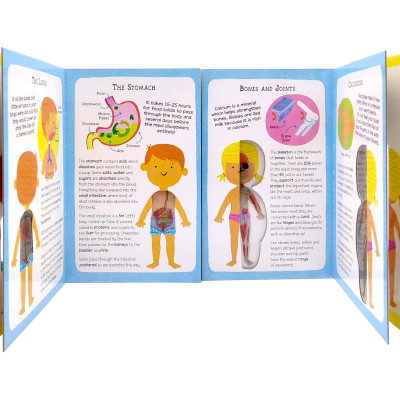 The Incredible Human Body - My First Human Body Book - New Version