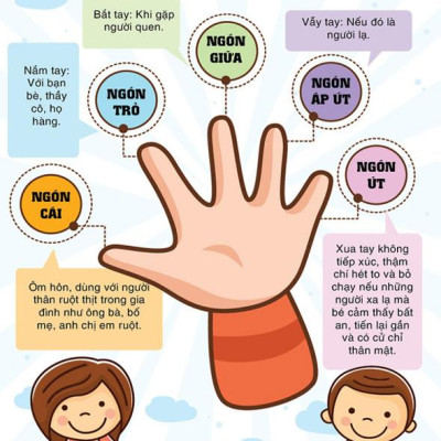 Combo Sách Nuôi Dạy Con Bán Chạy: Phương Pháp Ăn Dặm Bé Chỉ Huy (Baby Led-Weaning) + Nuôi Con Không Phải Là Cuộc Chiến + Ăn Dặm Kiểu Nhật (Bộ 3 Cuốn Cẩm Nang Cha Mẹ Cần Đọc / Tặng Kèm Poster Quy Tắc 5 Ngón Tay An Toàn Cho Con Yêu)