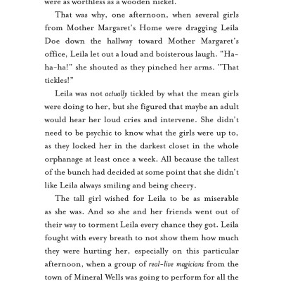 The Magic Misfits Series #2: The Second Story