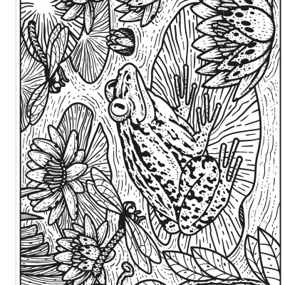 Garden Magic Painting Book