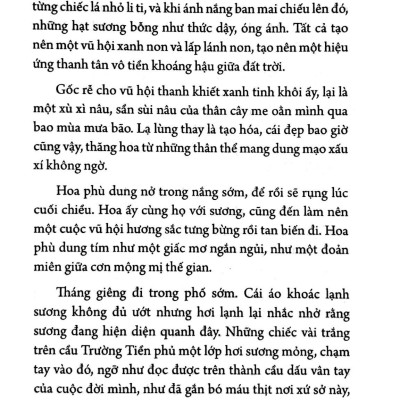 Giọt Mực Của Mưa Huế