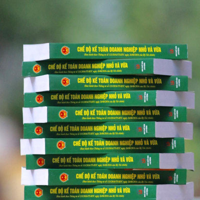Sách - Chế Độ Kế Toán Doanh Nghiệp Nhỏ Và Vừa (Theo Thông Tư 133/2016/TT-BTC Của Bộ Tài Chính)