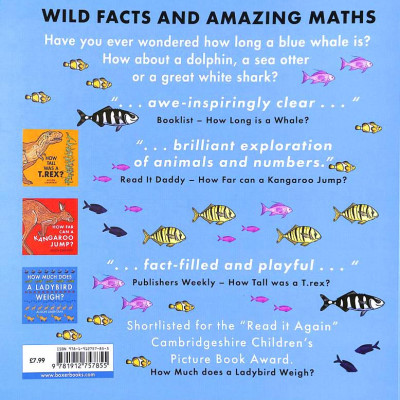 How Long Is A Whale?