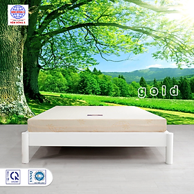 Nệm foam Đông Á Gold 