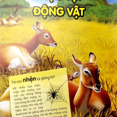 Chìa Khóa Mở Cửa Thế Giới - Em Muốn Biết Tại Sao?