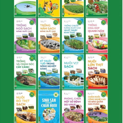 Nông Nghiệp Xanh Và Sạch - Trồng Cà Chua Sạch Quanh Năm