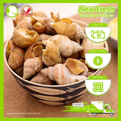 [GIAO NHANH HCM] Ốc Bulot Pháp Đông Lạnh - Túi 500Gr