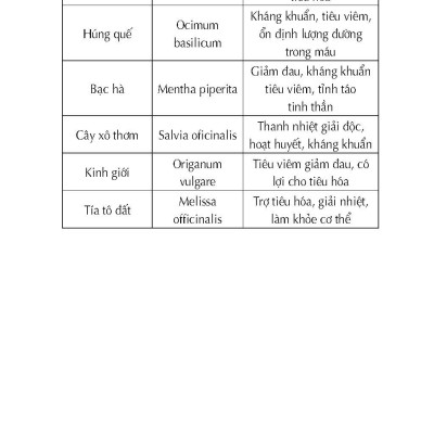 Kỹ Thuật Trồng Các Loại Cây Hương Thảo (Tái bản 2025)